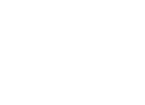 Set Ready Logo in white